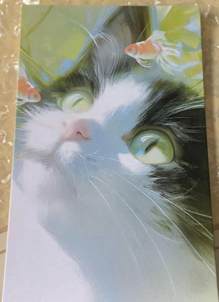 明信片照片