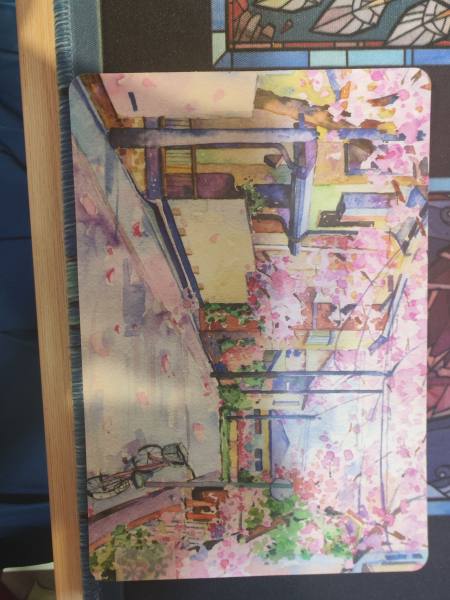 明信片照片