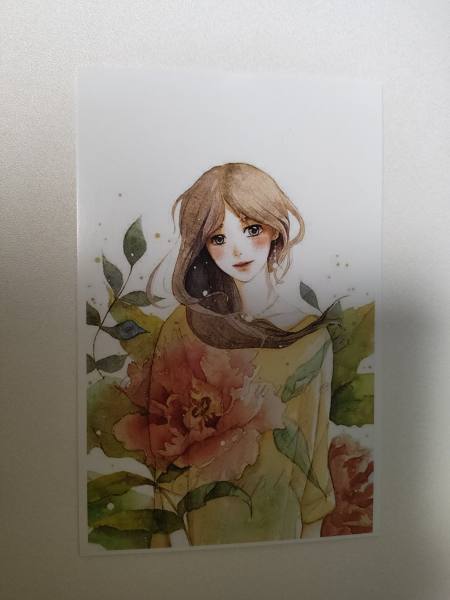 明信片照片