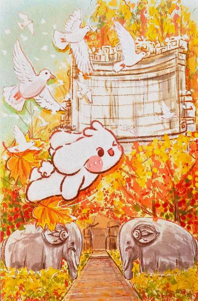 明信片照片