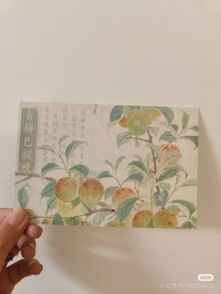 明信片照片