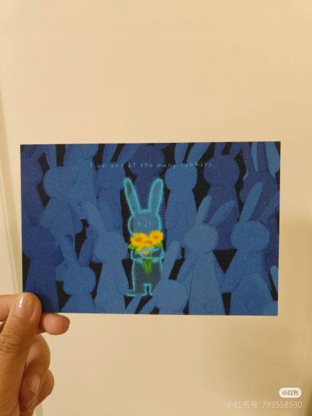 明信片照片