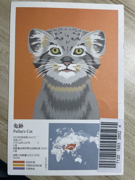 明信片照片