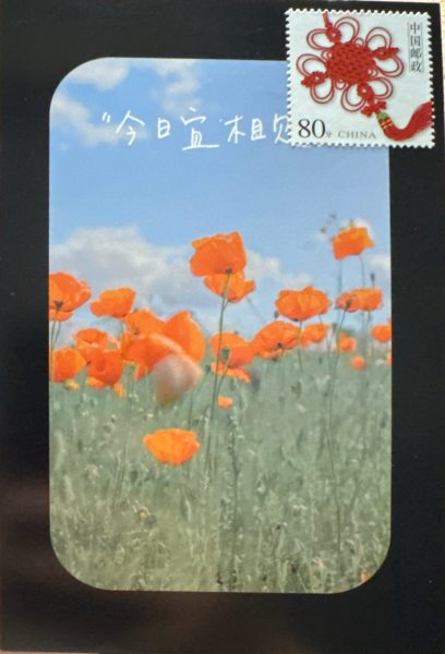 明信片照片