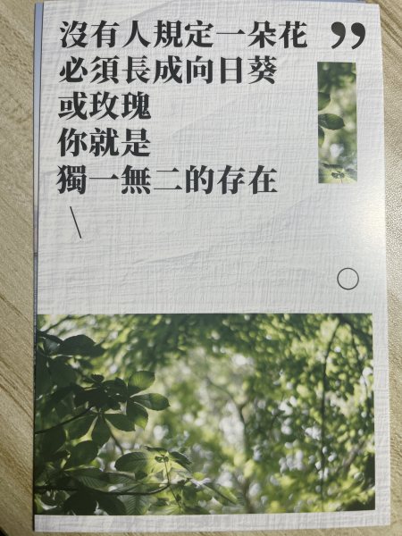 明信片照片