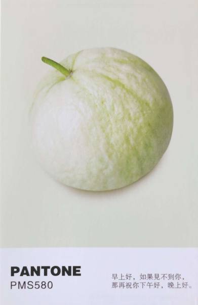 明信片照片