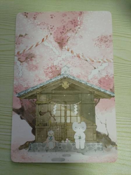 明信片照片
