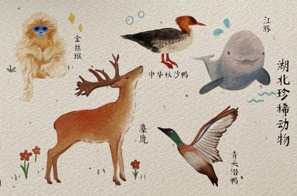 明信片照片