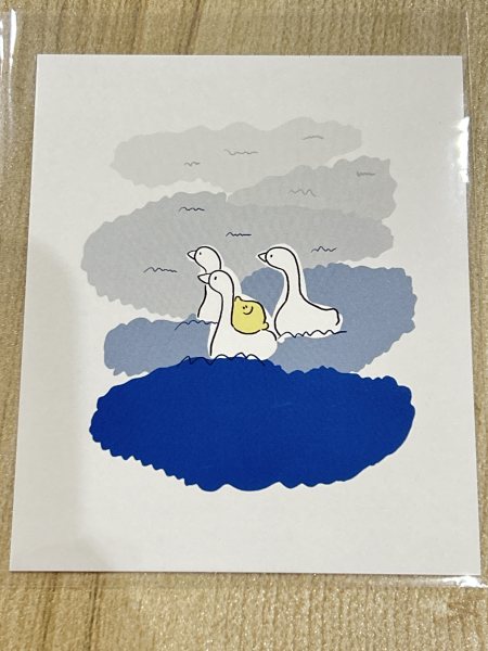 明信片照片