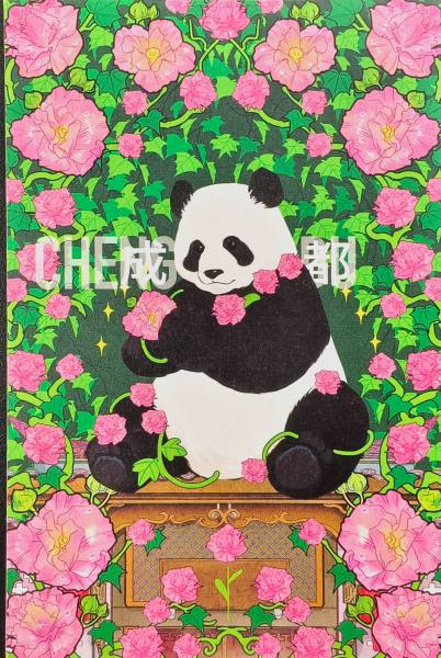 明信片照片