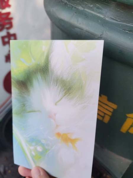 明信片照片