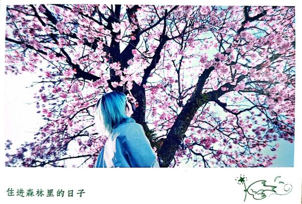 明信片照片
