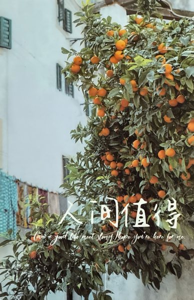 明信片照片