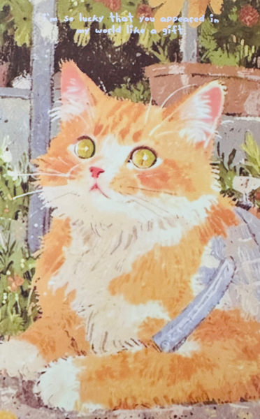 明信片照片