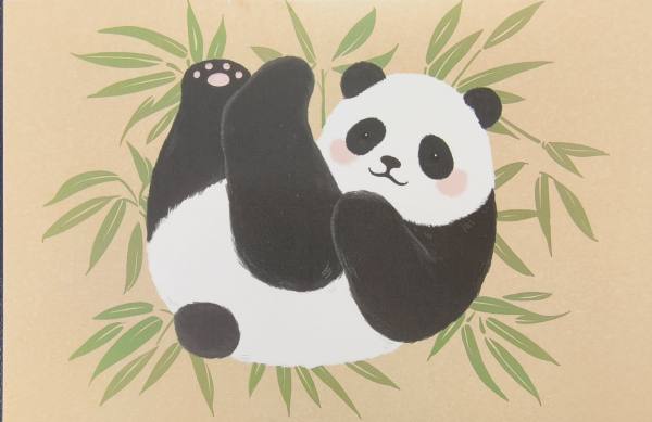 明信片照片