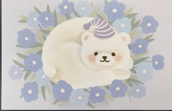 明信片照片