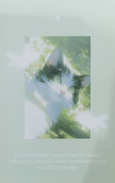 明信片照片