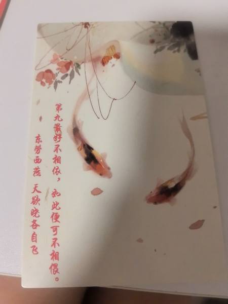 明信片照片