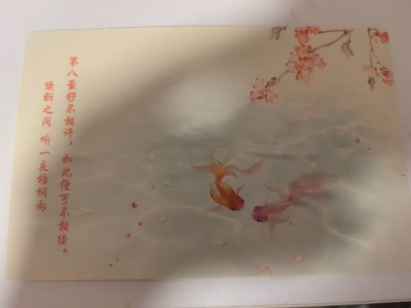 明信片照片