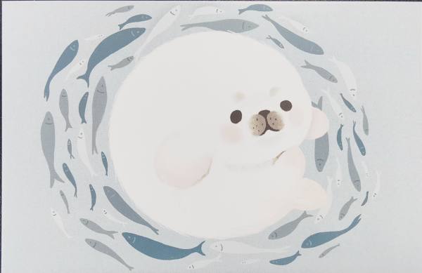 明信片照片