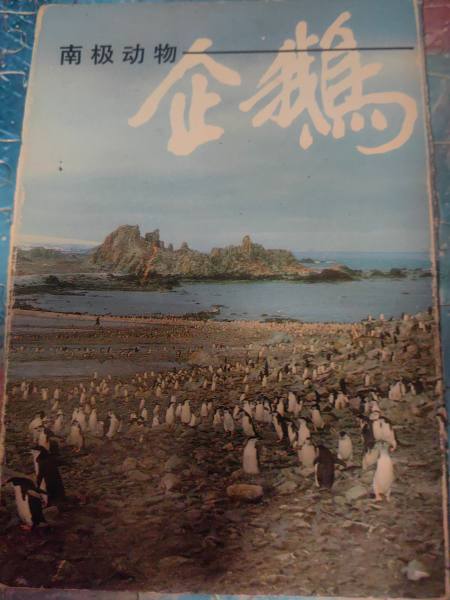 明信片照片