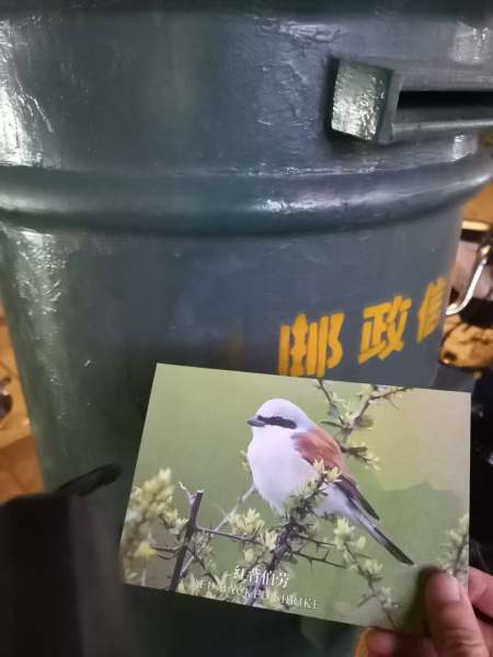 明信片照片