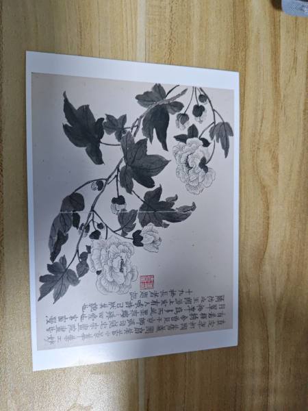 明信片照片