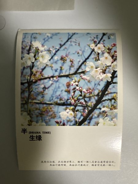 明信片照片