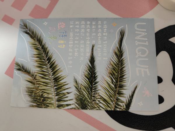 明信片照片
