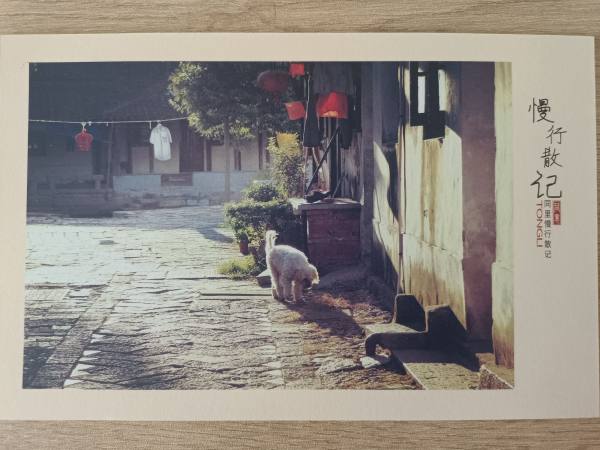 明信片照片