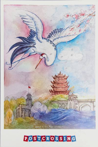 明信片照片