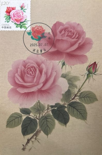 明信片照片