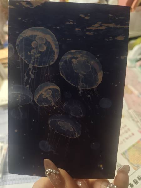 明信片照片
