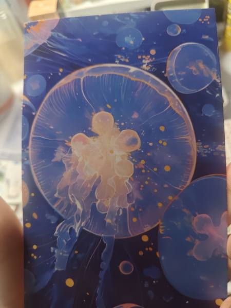 明信片照片
