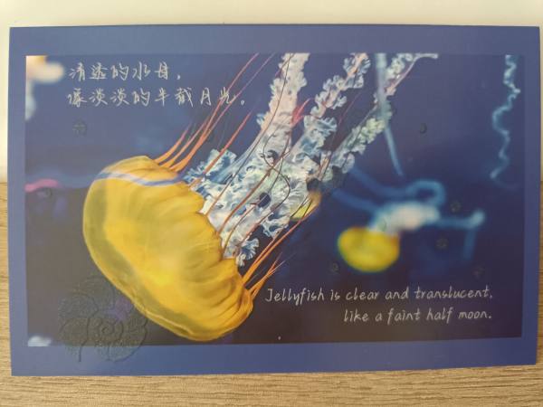 明信片照片