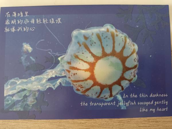 明信片照片