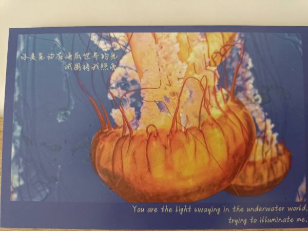明信片照片