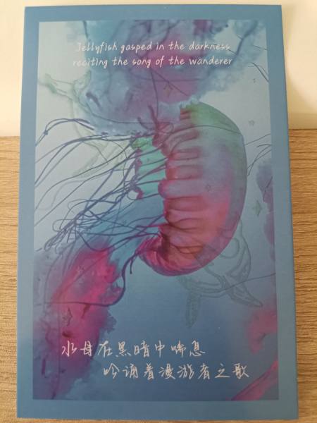 明信片照片
