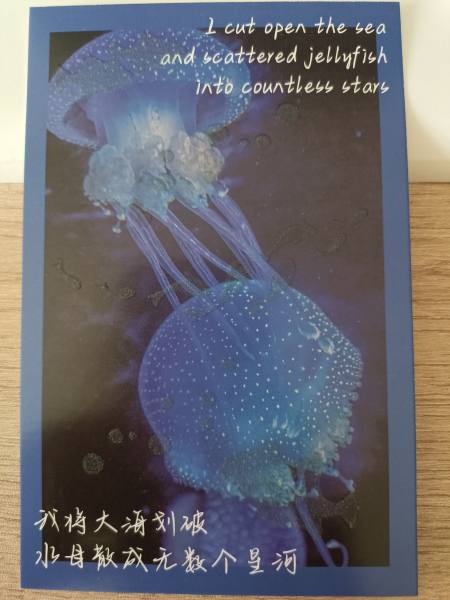 明信片照片