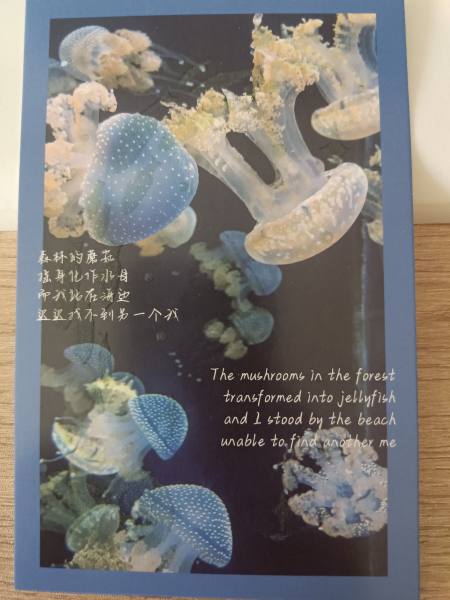 明信片照片