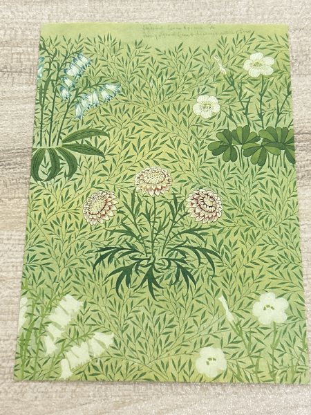 明信片照片