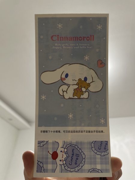 明信片照片
