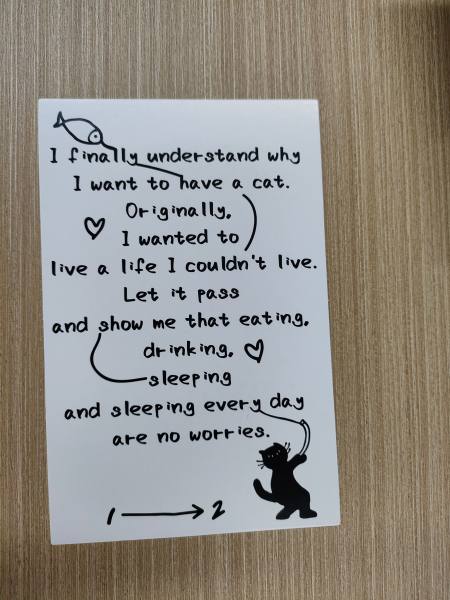 明信片照片