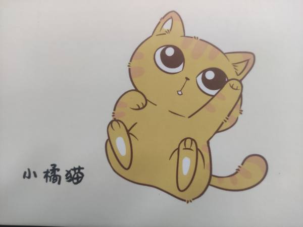 明信片照片