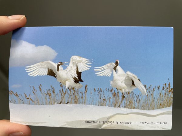 明信片照片