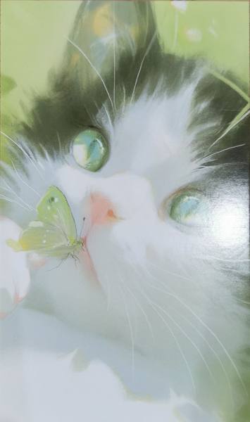 明信片照片