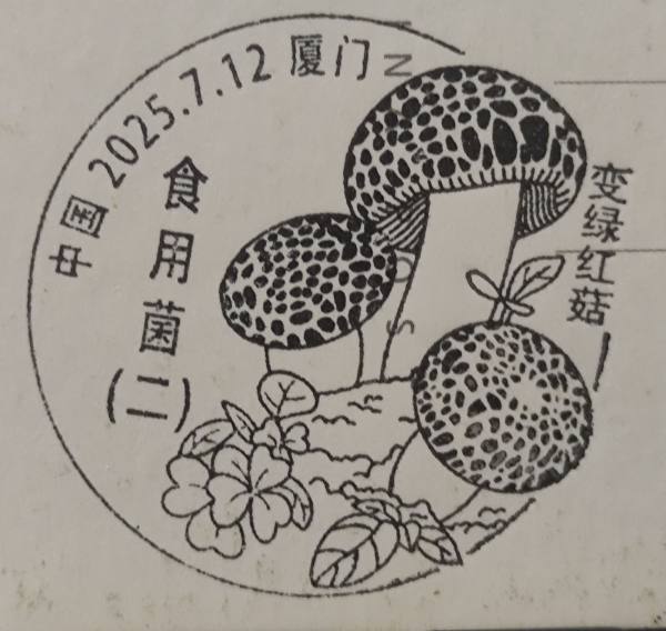 明信片照片