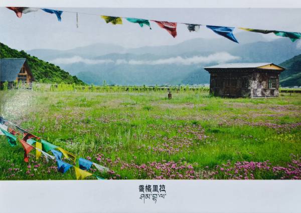 明信片照片