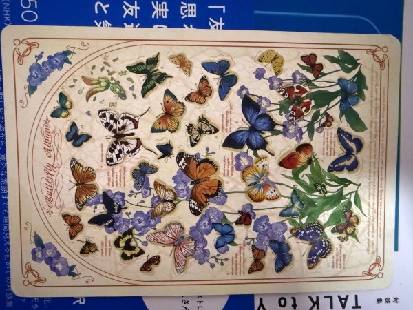 明信片照片