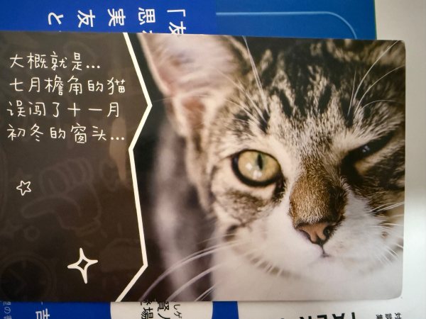 明信片照片